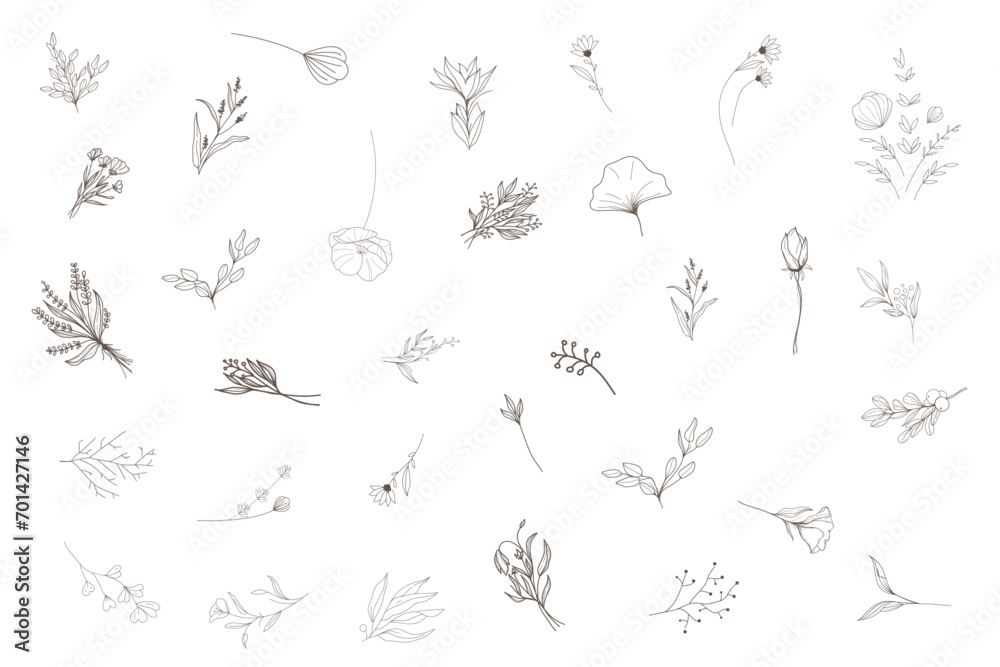 Hand drawn minimal line art floral elements style. Vector illustration of greenery for decoration, wild and garden plants, branches, leaves. logo, tattoo, wedding invitation, save the date card Hand drawn minimal line art floral elements style. Vector illustration of greenery for decoration, wild and garden plants, branches, leaves. logo, tattoo, wedding invitation, save the date card