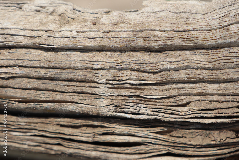 Many layers of old pressed thick cardboard stand on the street and are weathering Many layers of old pressed thick cardboard stand on the street and are weathering