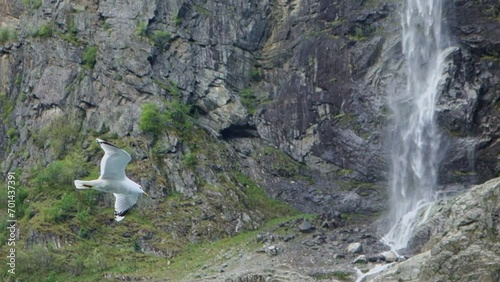 Following seagull flying near waterfall and rocks.