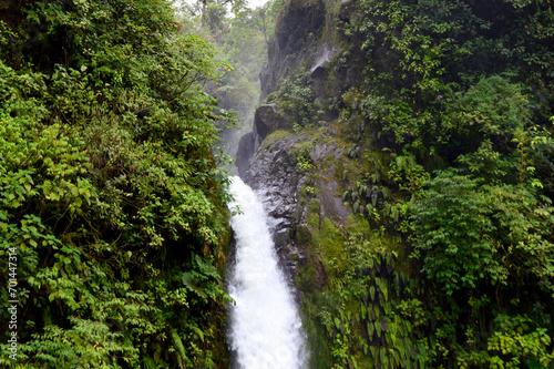 waterfall in the jungle