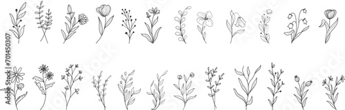 Minimal feminine botanical floral branch in silhouette style. Hand drawn wedding herb, minimalistic flowers with elegant leaves. Botanical rustic trendy greenery vector