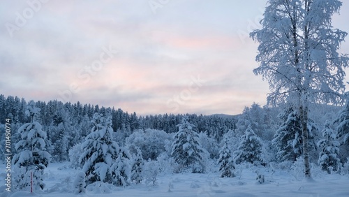 Winter day in the North of Sweden, New year concept