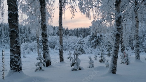 Winter day in the North of Sweden, New year concept