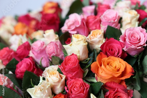 Fototapeta Naklejka Na Ścianę i Meble -  Bouquet of beautiful roses on blurred background, closeup