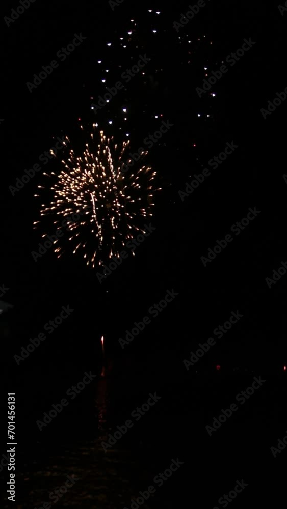pyrotechnic fireworks show on the beach on New Year's Eve. vertical