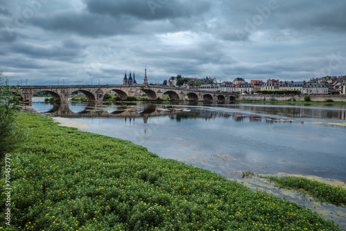 The town of Blois - Loire river