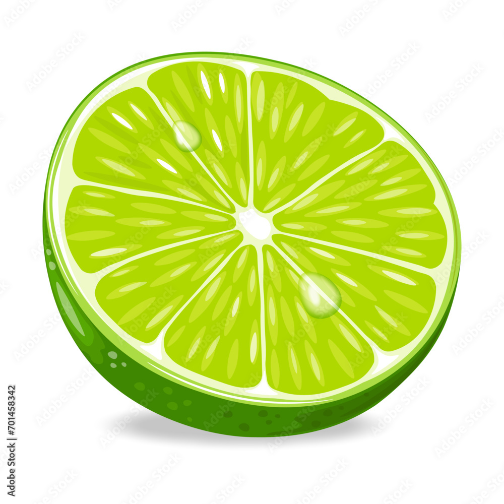 Green lime slices fruit isolated on white background