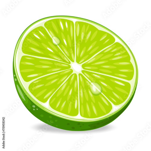 Green lime slices fruit isolated on white background