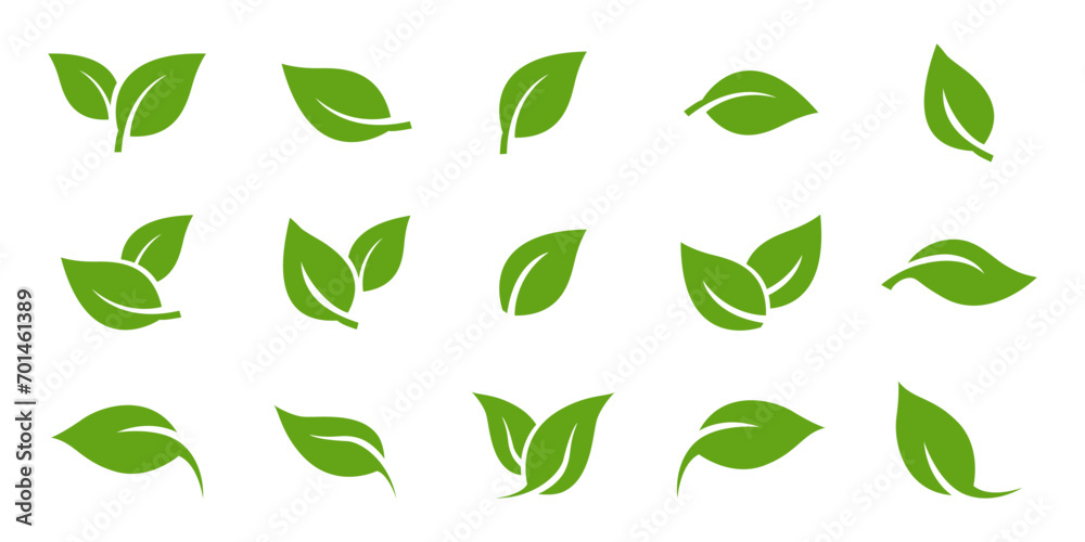 Green leaf icons set. Leaves icon on isolated background. Collection green leaf. Elements design for natural, eco, vegan, bio labels. Vector illustration EPS 10