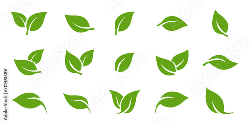 Green leaf icons set. Leaves icon on isolated background. Collection green leaf. Elements design for natural, eco, vegan, bio labels. Vector illustration EPS 10 photo