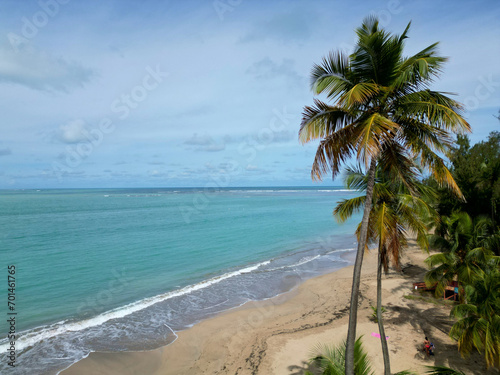 palm trees along a serene beach with waves crashing in luquillo, puerto rico (tropical seaside resort town in the caribbean sea) vacation, travel, holidays, snowbird, idyllic, paradise, ocean, swim photo