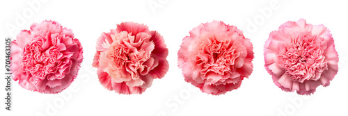 Set of carnation top view isolated on a transparent background photo