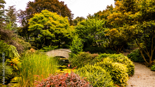 Photography Bridge over a gentile stream in the park