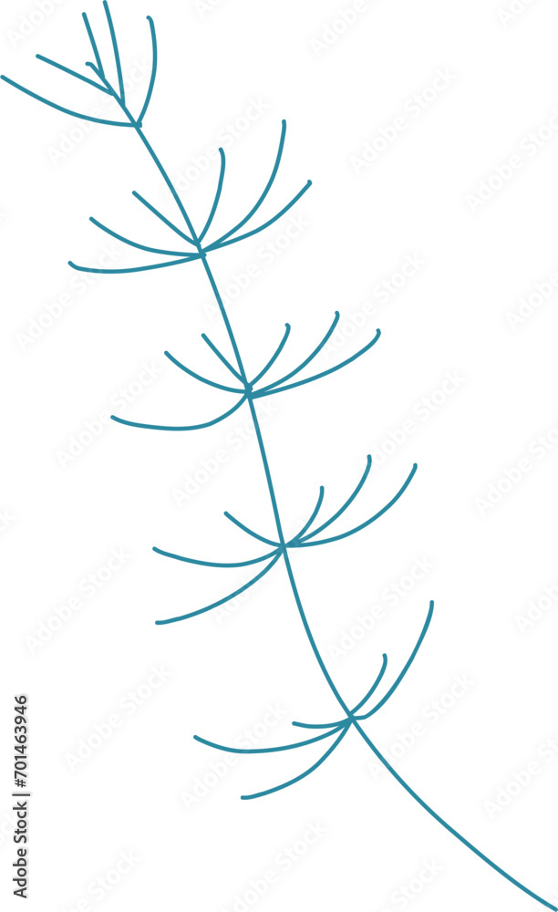 Naklejka premium Green algae, vector illustration for design, invitation