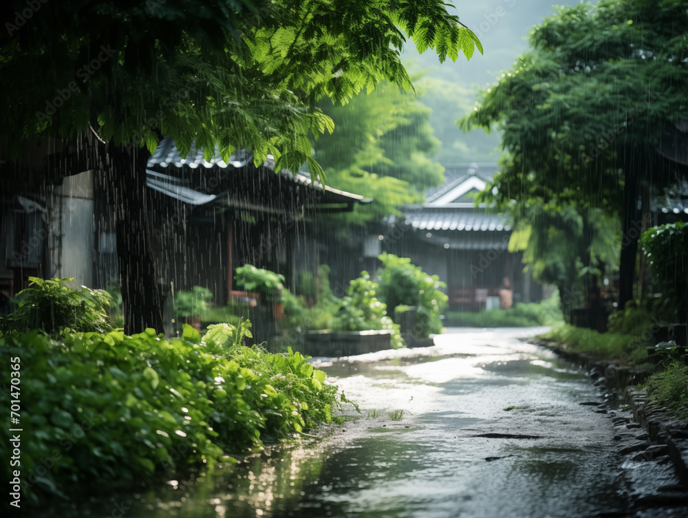 Fresh rain-kissed greenery in a countryside setting