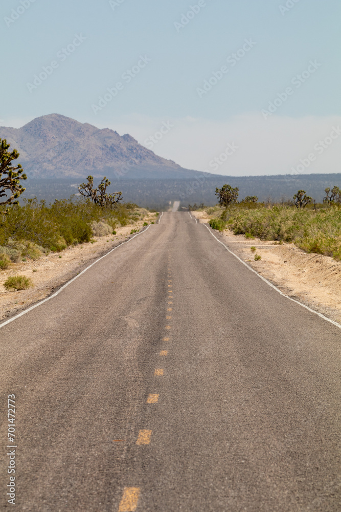 Lonely road between Arizona and Nevada, USA