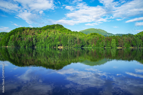 Alpine forest on the shore of Firiza lake in Maramures county, Romania, Europe	
