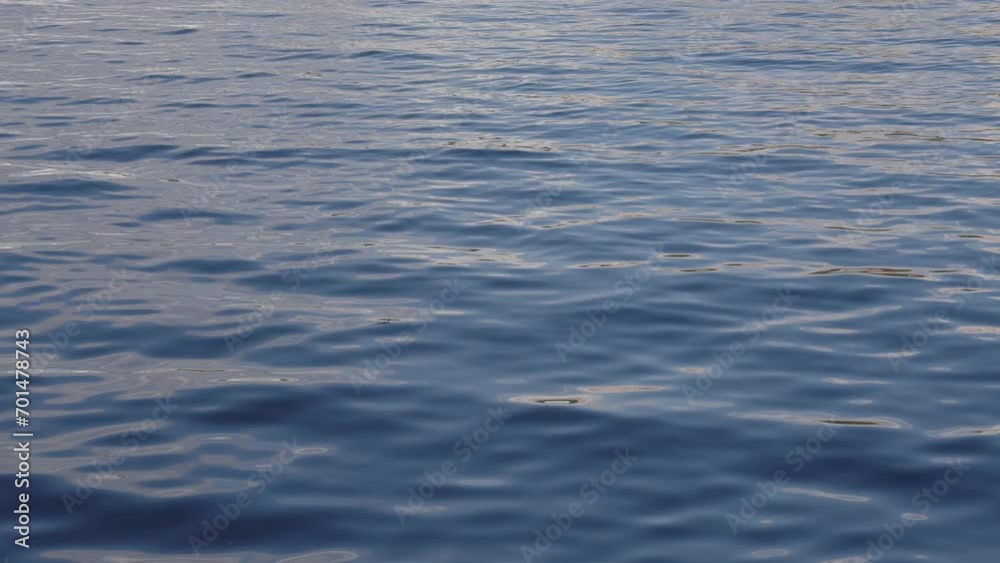 The waves. Water, river. Static video The waves. Water, river. Static video