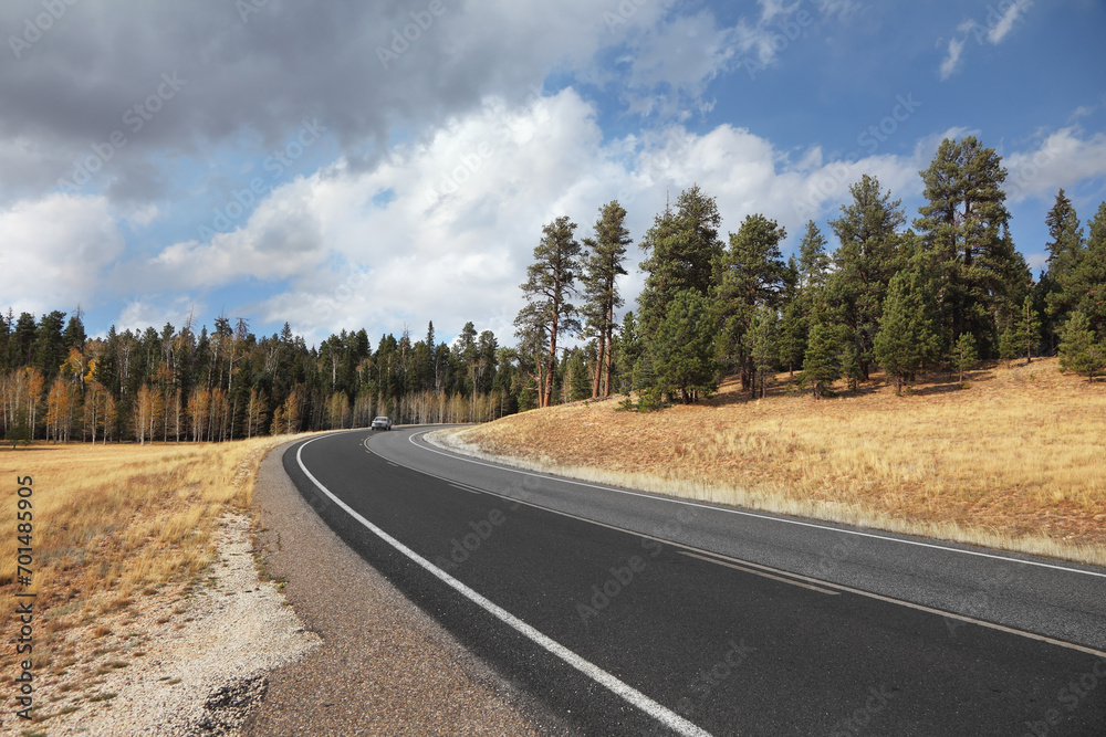 Fototapeta premium Road, autumn yellow fields and sky