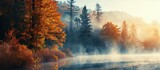 Minimalistic landscape in misty autumn morning on lake with grass and tree trunk. Creative Banner. Copyspace image