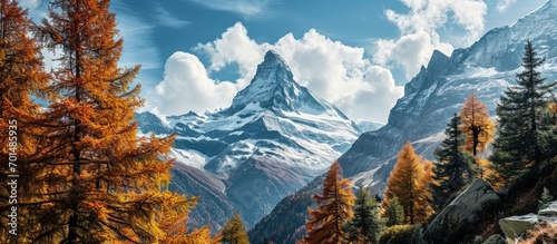 View on autumn forest snowy Matterhorn mountains and blue sky with white clouds Switzerland. Creative Banner. Copyspace image
