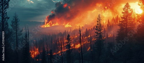 Wildfires destroy numerous beauty spots devastating land and peoples lives. Creative Banner. Copyspace image photo