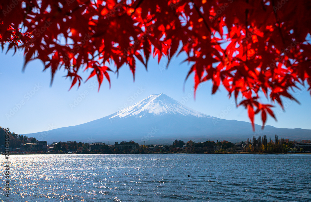Autumn foliage. Fuji, Japan.