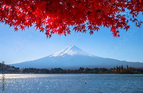 Autumn foliage. Fuji, Japan. © Marius