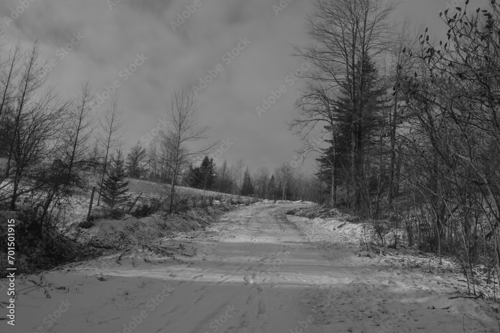 Obraz premium Marais Kingsbury Et Chemin Keanan 1 Janvier 2024 N&B