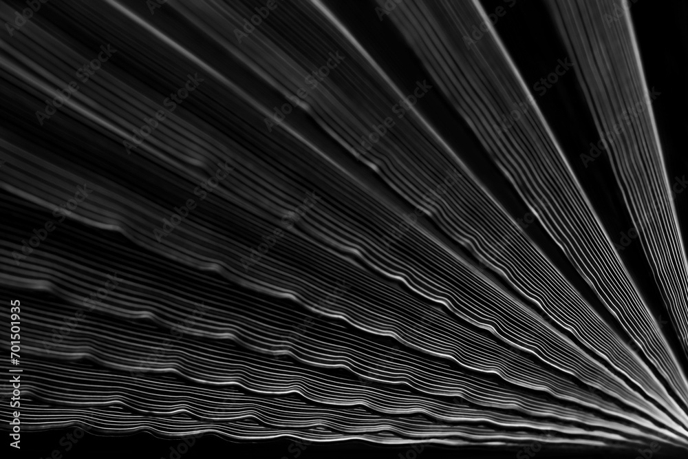 Fototapeta premium Abstract background of shadows palm leaf. White and Black. Tropical Palm leaf nature background. Black and white tone. Striped of palm leaf. Abstract line of nature background. Turkey