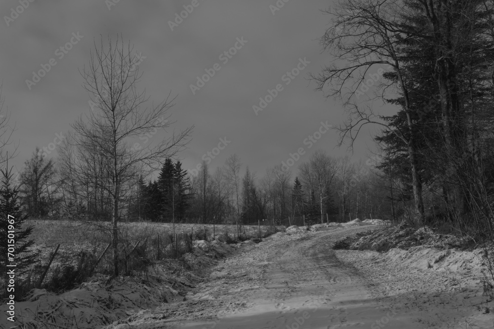 Obraz premium Marais Kingsbury Et Chemin Keanan 1 Janvier 2024 N&B