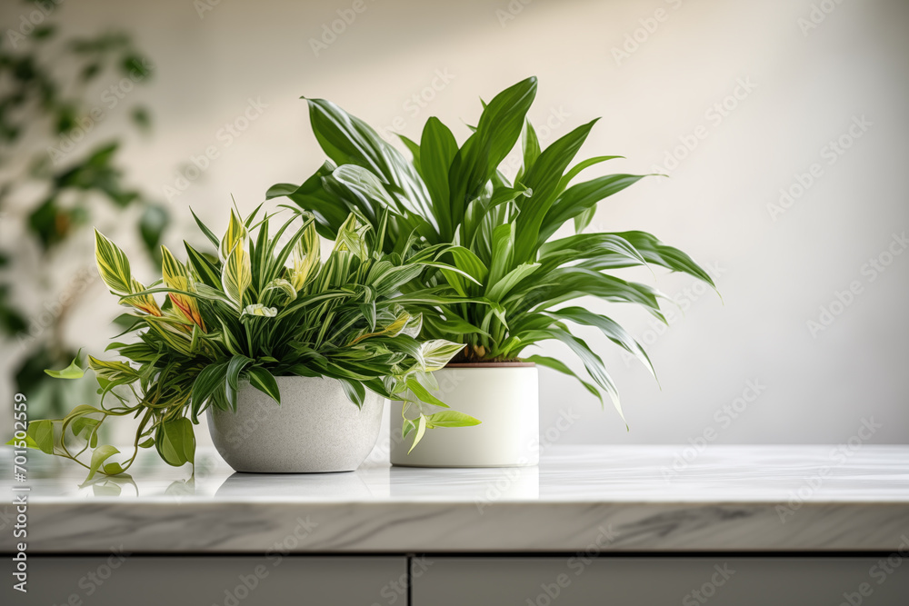 Home garden plants spread out on counter at home and space for text. Generative AI Home garden plants spread out on counter at home and space for text. Generative AI