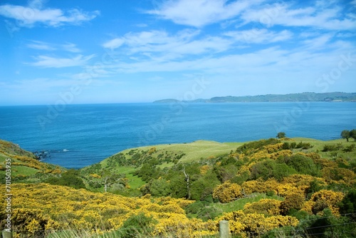 New zealand sea blue with green gras in front
