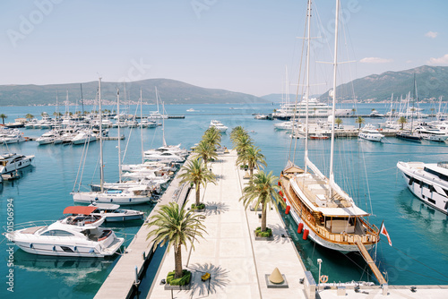 Large sailing yacht is moored at a pier with green palm trees opposite motor yachts © Nadtochiy