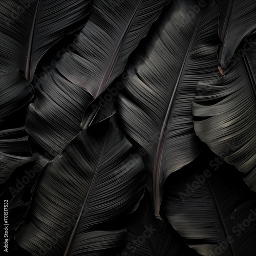 Elegance in Monochrome Feather, Plant, and Pen Background Template photo