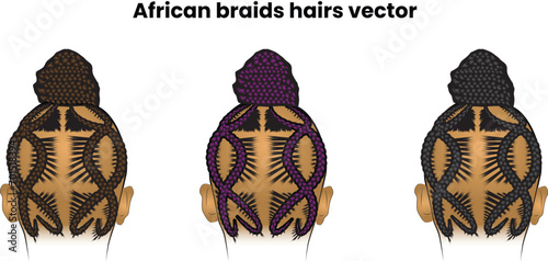 braids hair  woman beautiful hair stylish African girls  vector