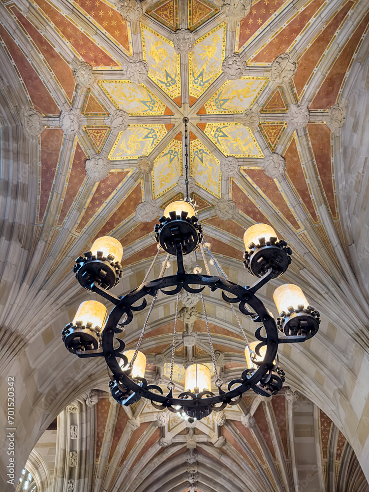 Library Chandelier And Gothic Ceiling