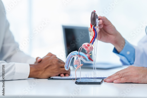 close-up of male patient consultation with doctor, explaining model of reproductive system, possibly discussing prostate cancer, cystitis, or urinary tract infection. photo