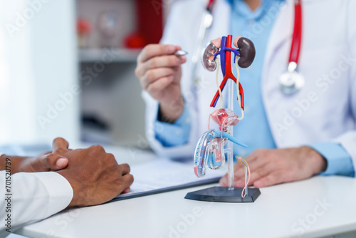 close-up of male patient consultation with doctor, explaining model of reproductive system, possibly discussing prostate cancer, cystitis, or urinary tract infection.