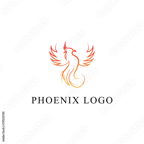Phoenix bird logo design vector template