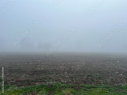 Misty morning beyond the fence line, Oregon.