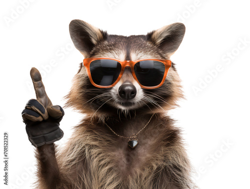 Portrait of a raccoon wearing sunglasses isolated on transparent background