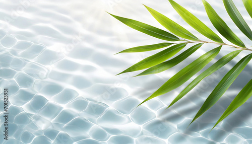 spa background banner with green bamboo leaf on white transparent water wave in sunlight, concept with copy space for travel, cosmetics and beauty care photo