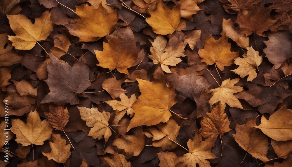 Autumn leaves background. Top view of autumn leaves on the ground