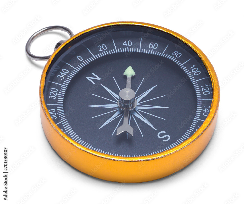 Gold Compass Gold Compass
