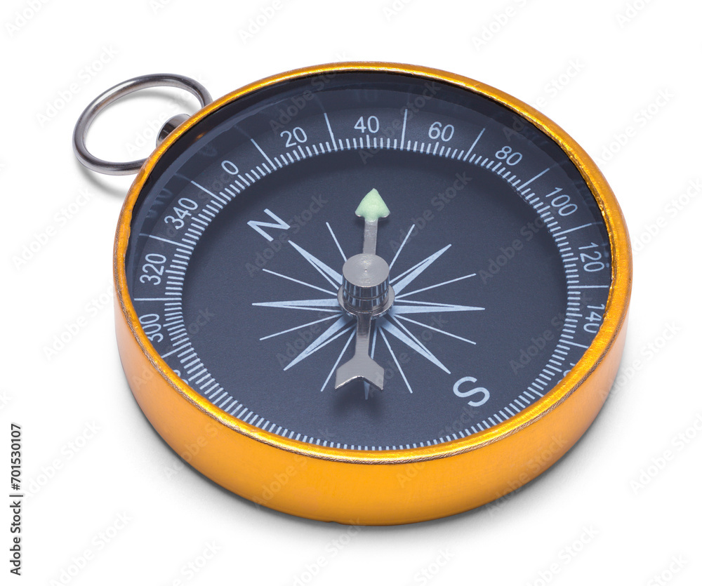 Gold Compass