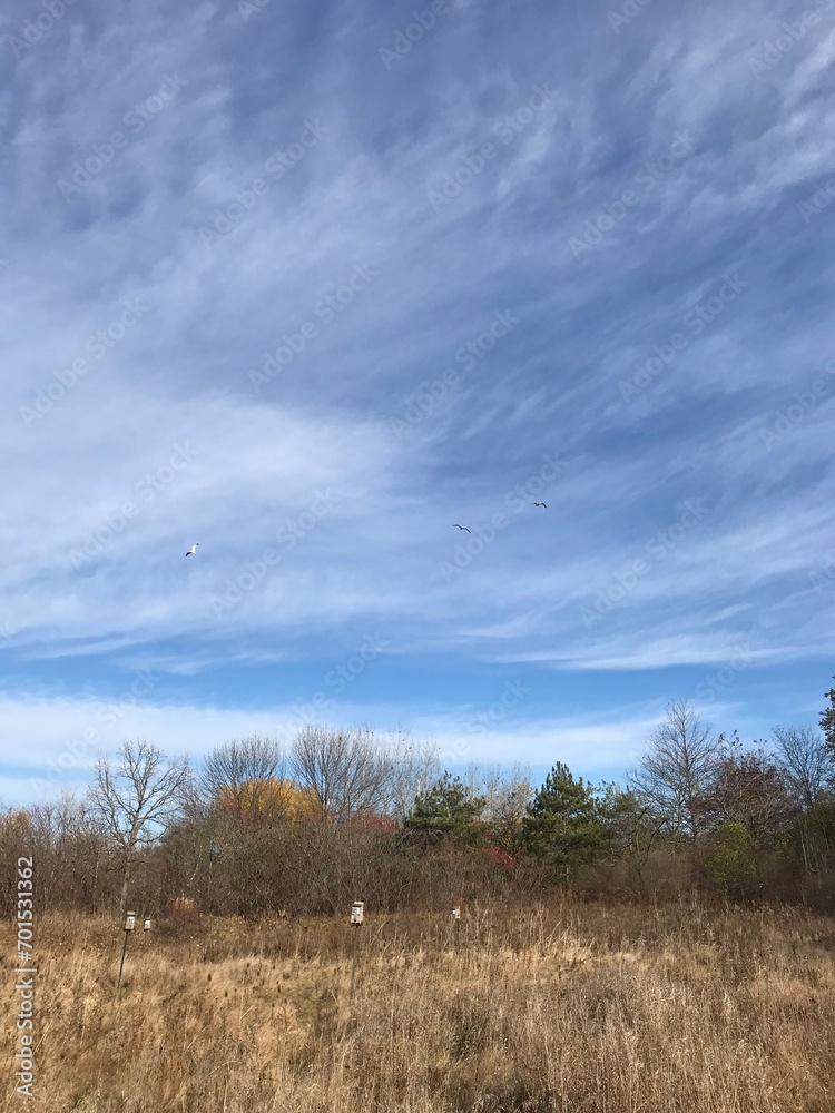 landscape with clouds