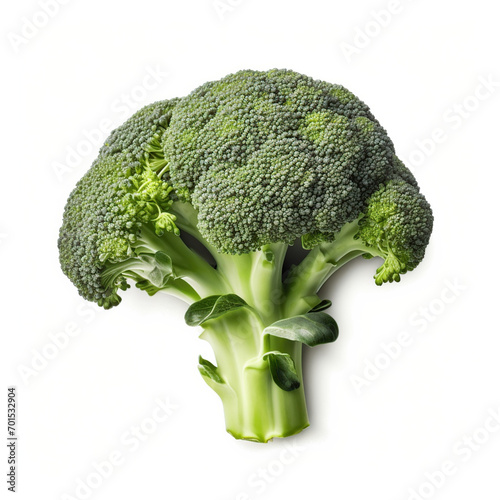 broccoli isolated on white background