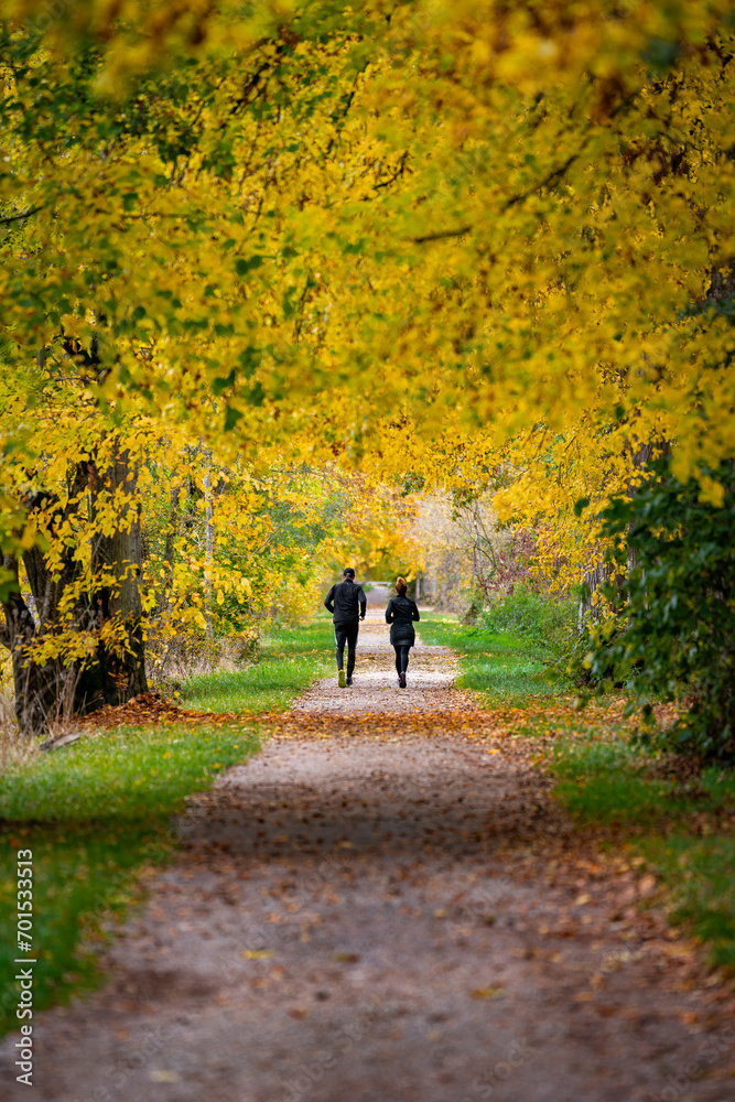 Frühsport im Herbst