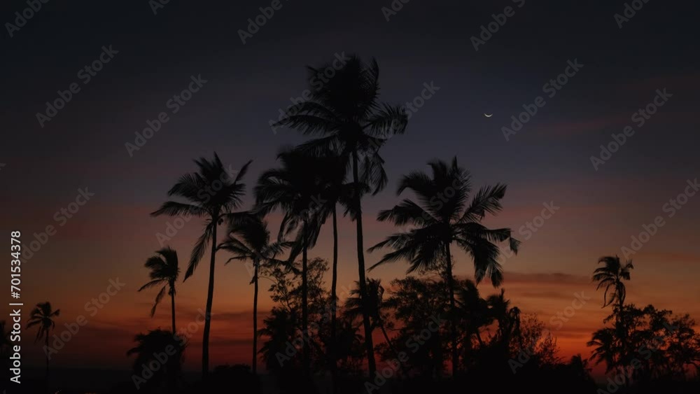 Silhouettes of palm trees against beautiful night sky. Palm trees sway in the wind. Picturesque tropical landscape at sunset.